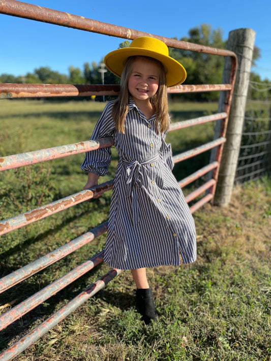 OD-Girls Gray Pinstripe Shirtwaist Dress (Just Kidding Around)