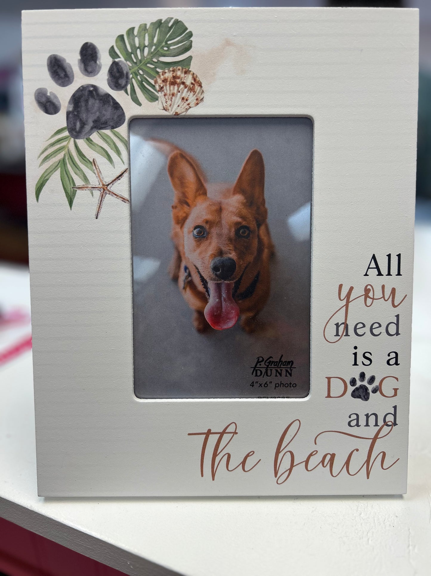 PGD- All You Need Is A Dog/Beach