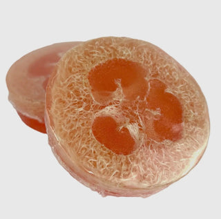 AM Exfoliating Loofah Soap Bar - Natural Luffa - All About Me Boutique