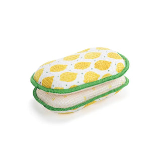 Demdaco Absorbent Reversible Sponges Set of 2