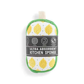 Demdaco Absorbent Reversible Sponges Set of 2