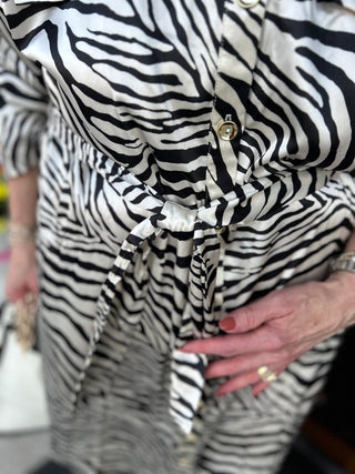 Emma & Michelle Satin Zebra Button Front Dress - All About Me Boutique