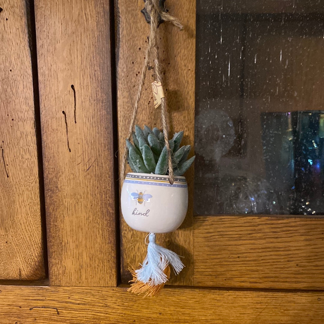 SJ - Mini Hanging Succulents (Gina B’s)