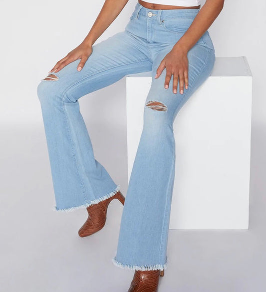 YMI Distressed Ladies Flare Leg Jeans (Head to Toe Fashion)